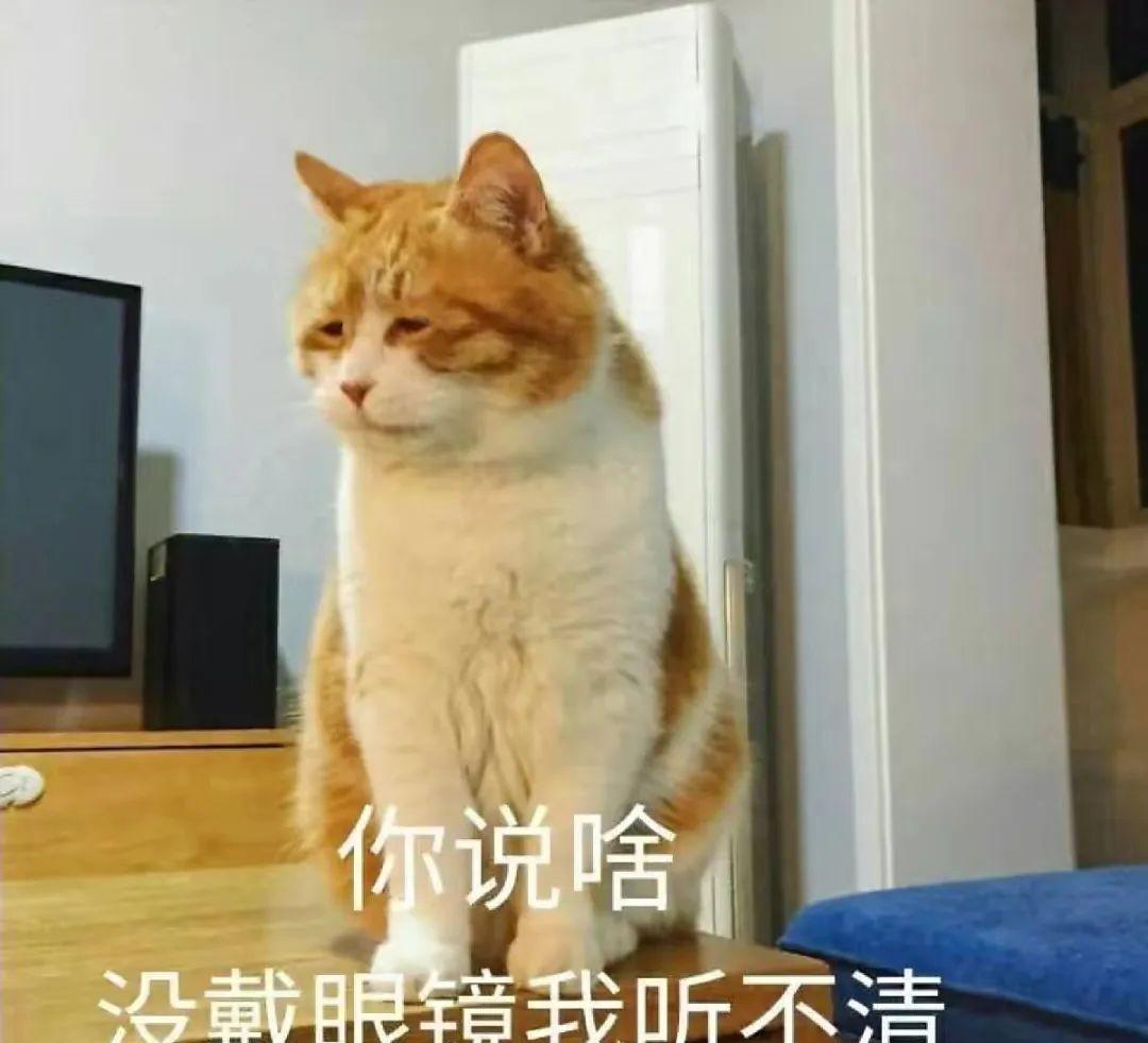 沟通交流