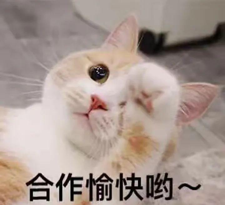 有效沟通