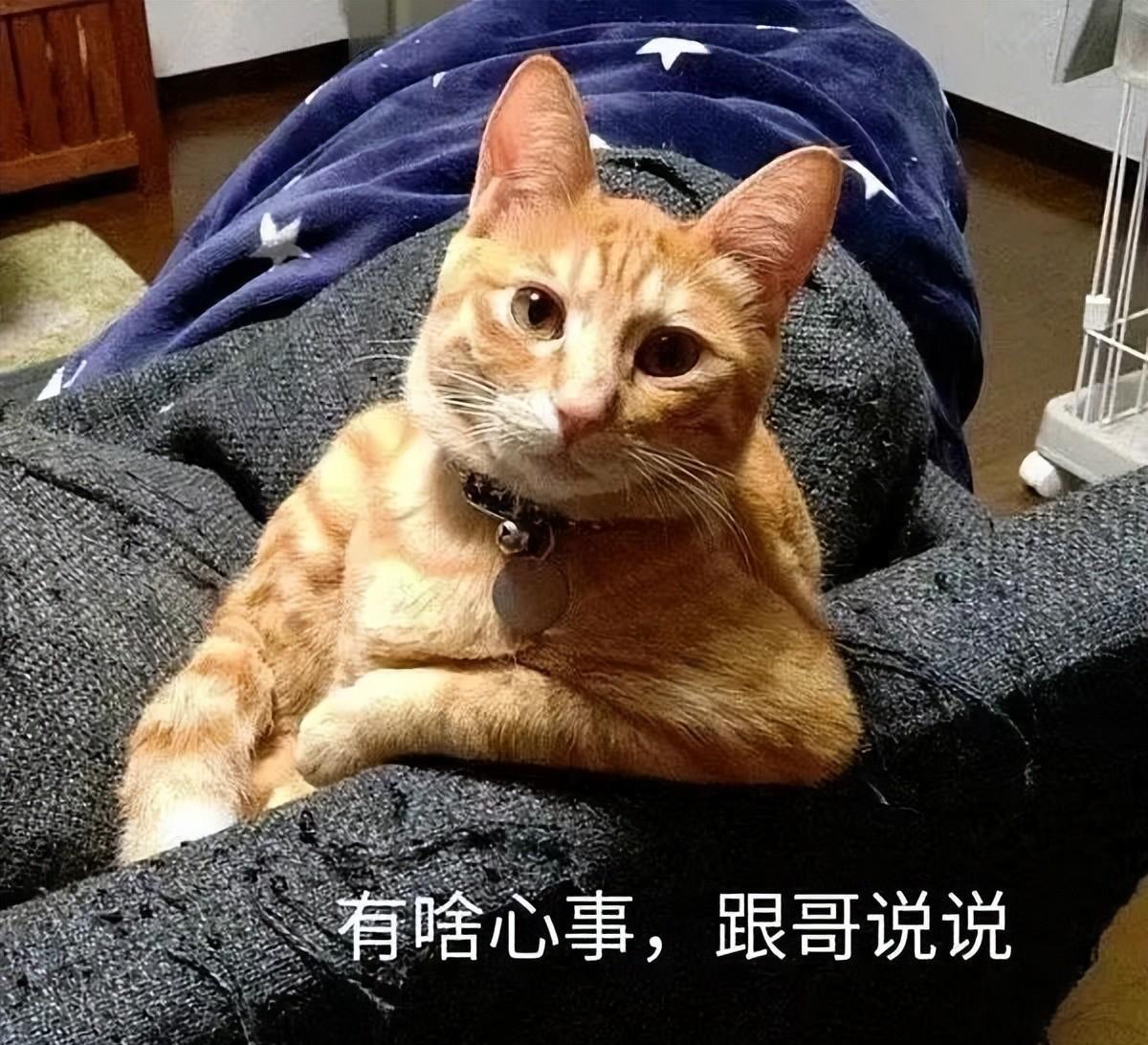 沟通建议