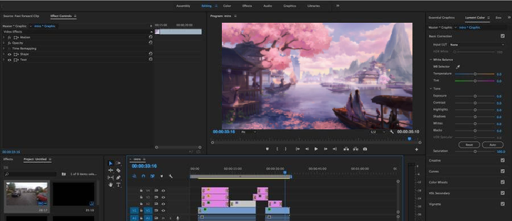 Adobe Premiere Pro功能
