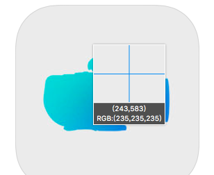 Cameras + Formats
