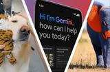 进入全新Gemini时代，谷歌AI展现全新魅力