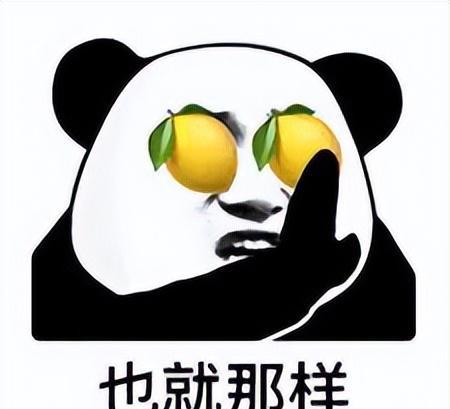 就业前景及薪资待遇