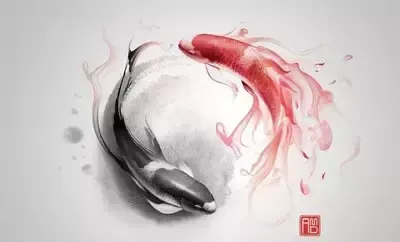 审美和设计趋势