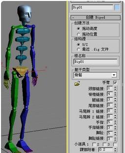 骨骼綁定示意圖