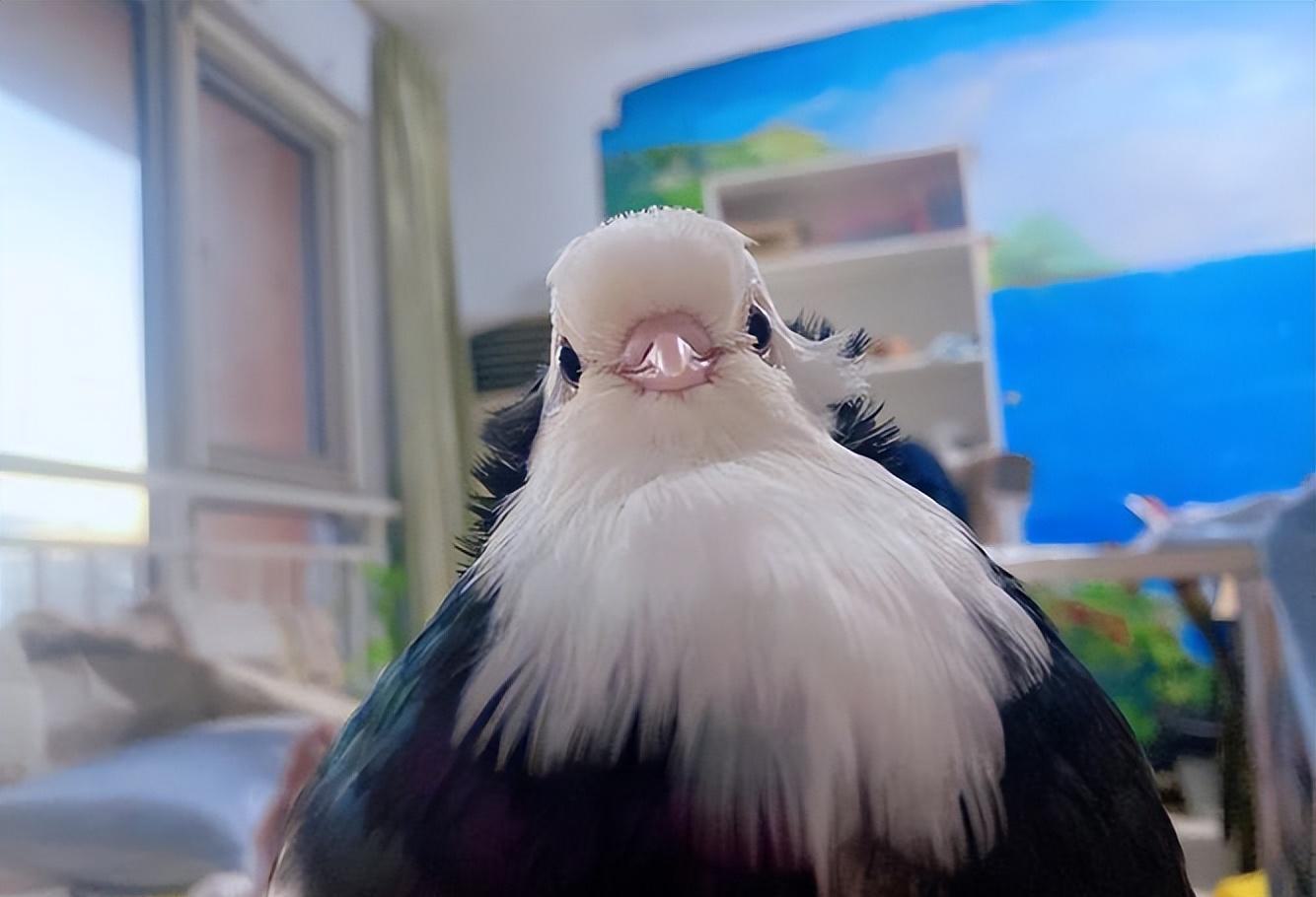 系统设计