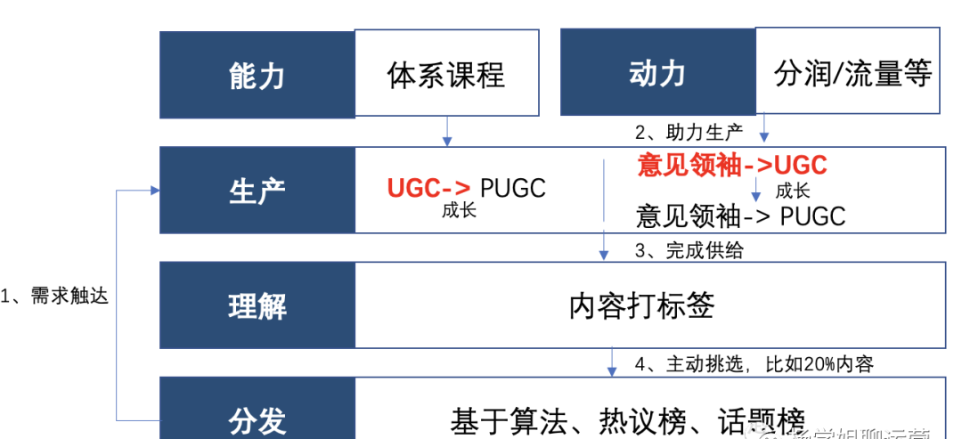 UGC内容生态概述