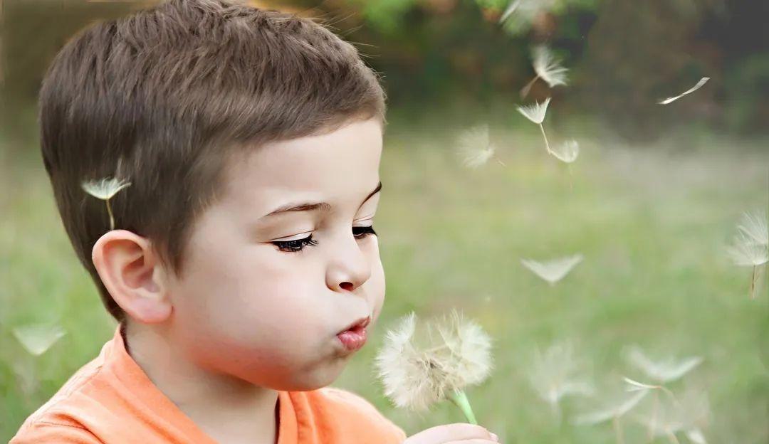 图片修复效果图