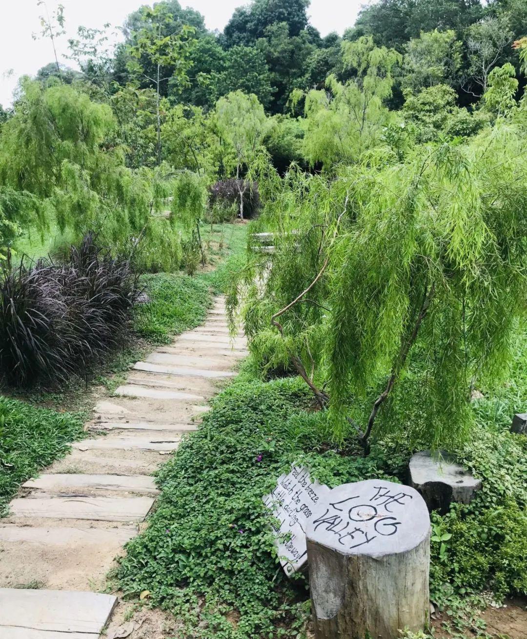 霍特自然游戏花园