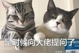 動畫師工作中都用什么軟件?|動畫人說