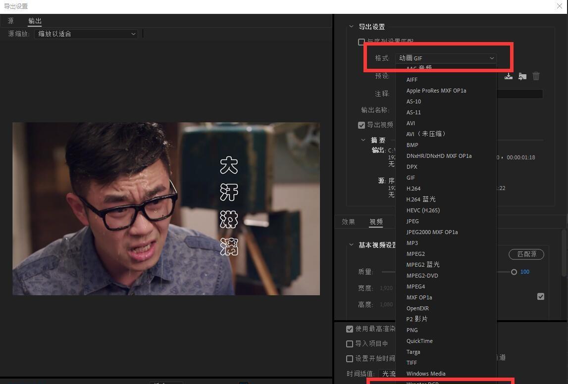 导出设置