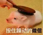 微信