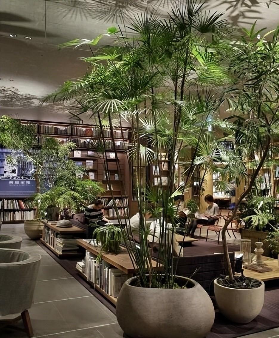 室內(nèi)植物養(yǎng)護(hù)