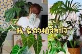 打造居家綠色空間，讓生活更有幸福感