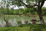 打造家中綠意生機(jī): 室內(nèi)花園打造秘籍分享！