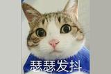 AI崗位供不應(yīng)求？AI就業(yè)前景到底如何？