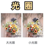 摄影知识深度解析：从光圈特性到闪光灯运用技巧