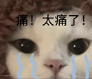 北大機(jī)器人當(dāng)上亞運(yùn)志愿者，全靠學(xué)生把多模態(tài)大模型結(jié)合具身智能
