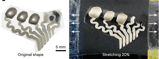 AirPods可以“读脑”了？还是能同时监测汗液乳酸浓度的那种｜Nature