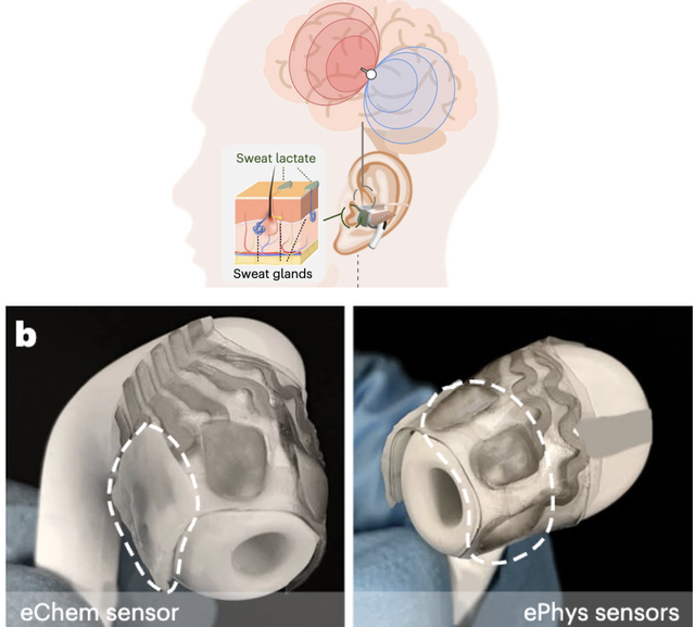 AirPods可以“读脑”了？还是能同时监测汗液乳酸浓度的那种｜Nature